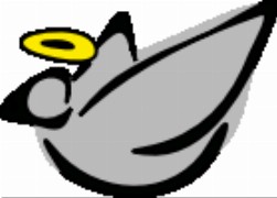 Ślub