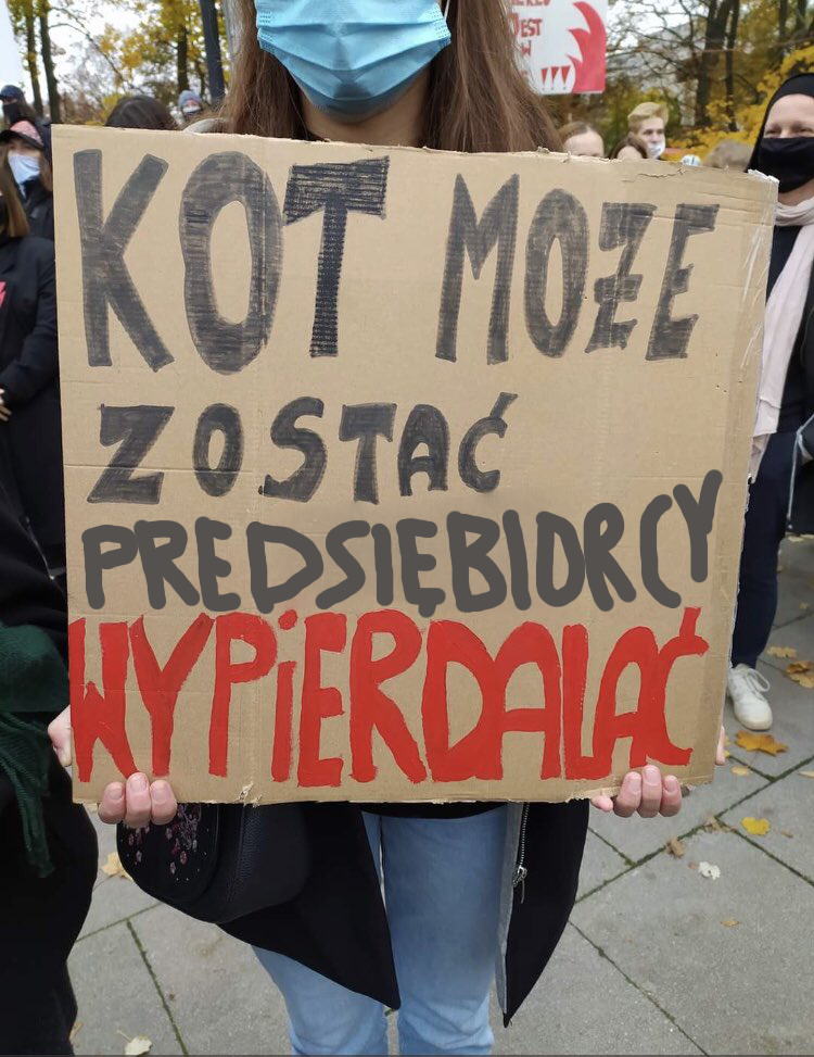 Kot może zostać, przedsiębiorcy ***